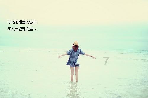 公主的阅读区